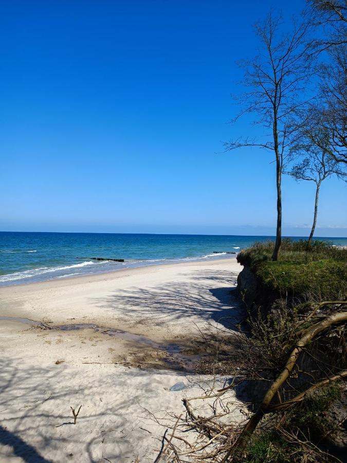 Zalotna Mewa Gaski Buitenkant foto