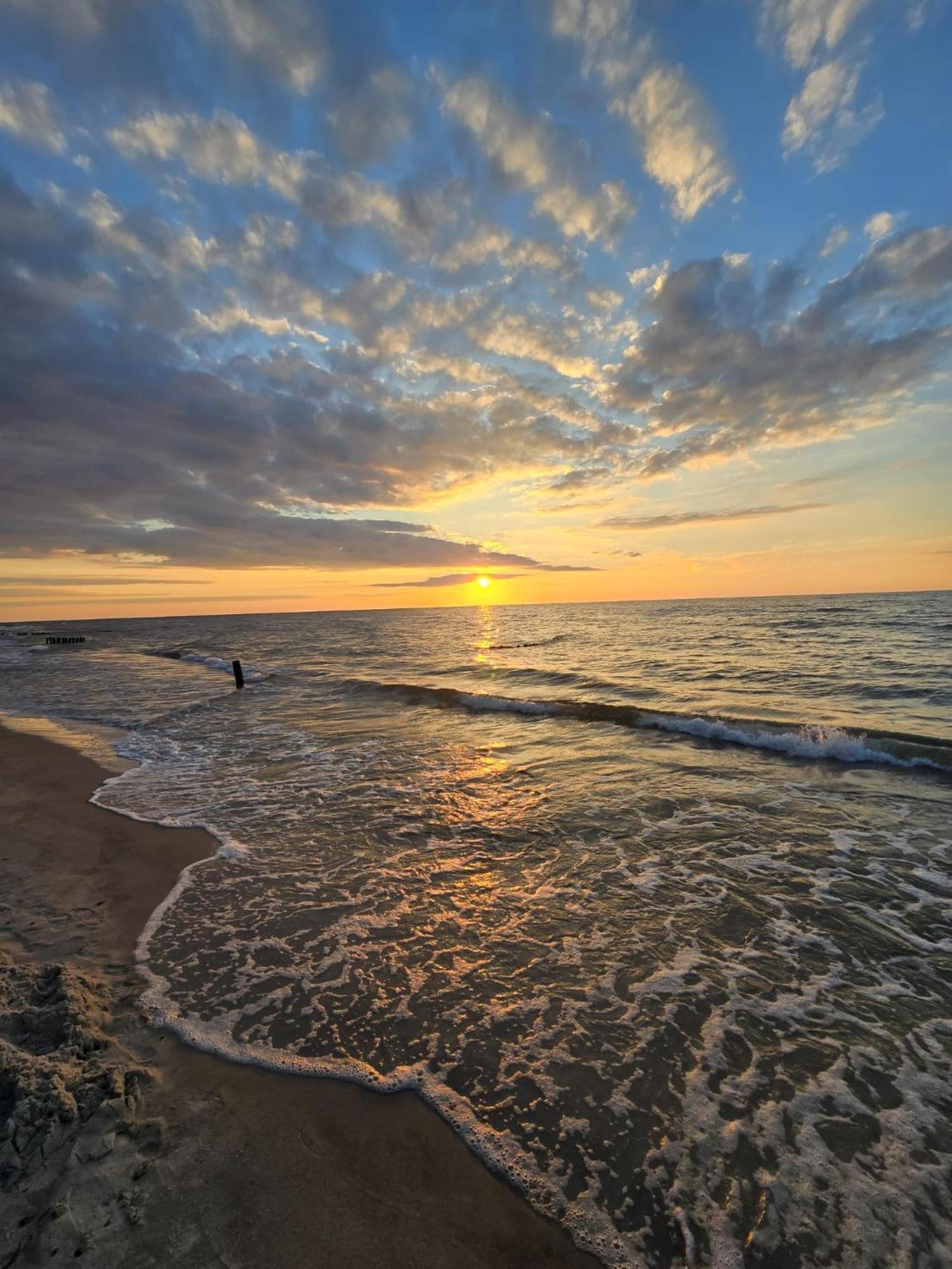 Zalotna Mewa Gaski Buitenkant foto
