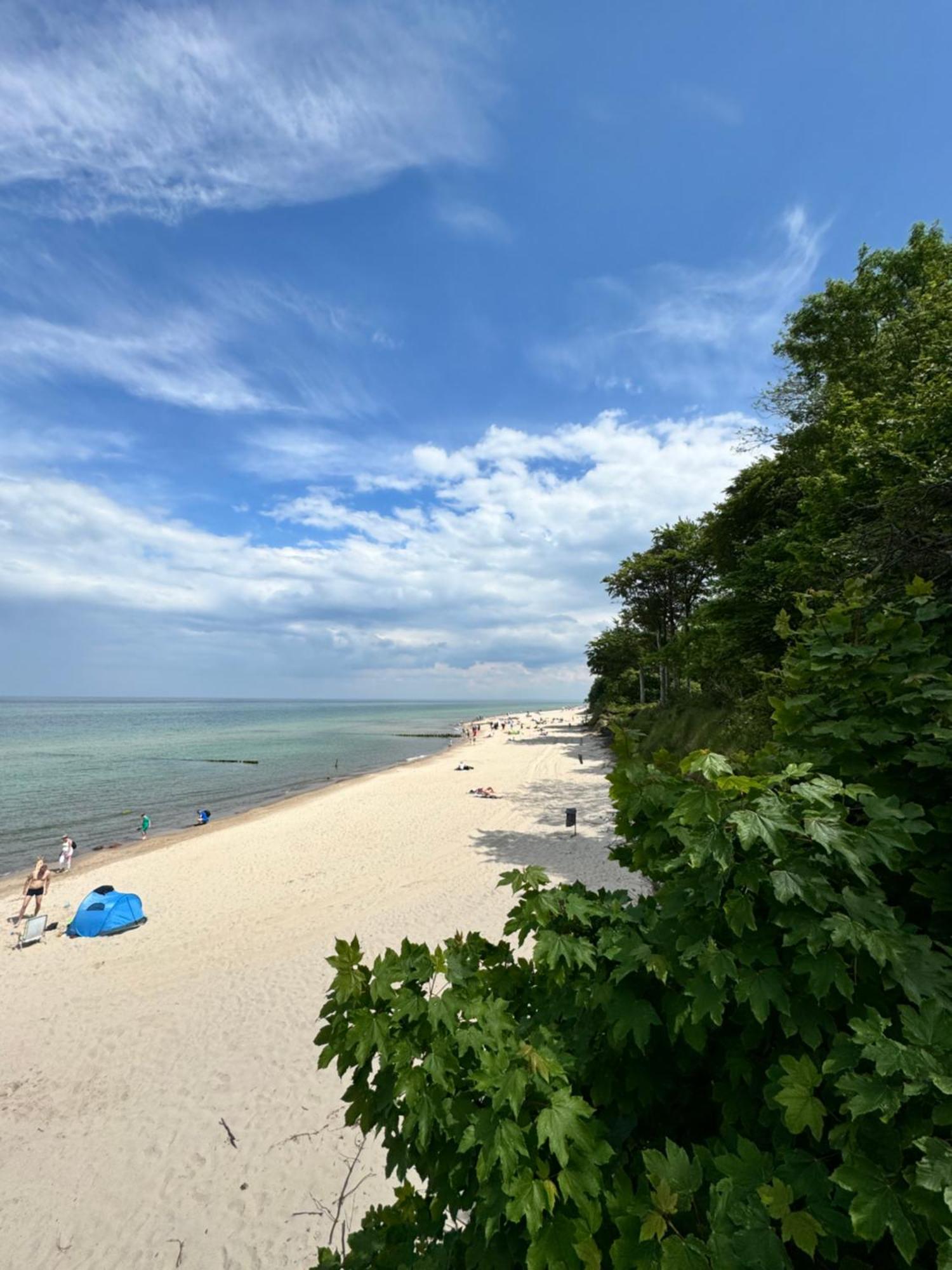 Zalotna Mewa Gaski Buitenkant foto