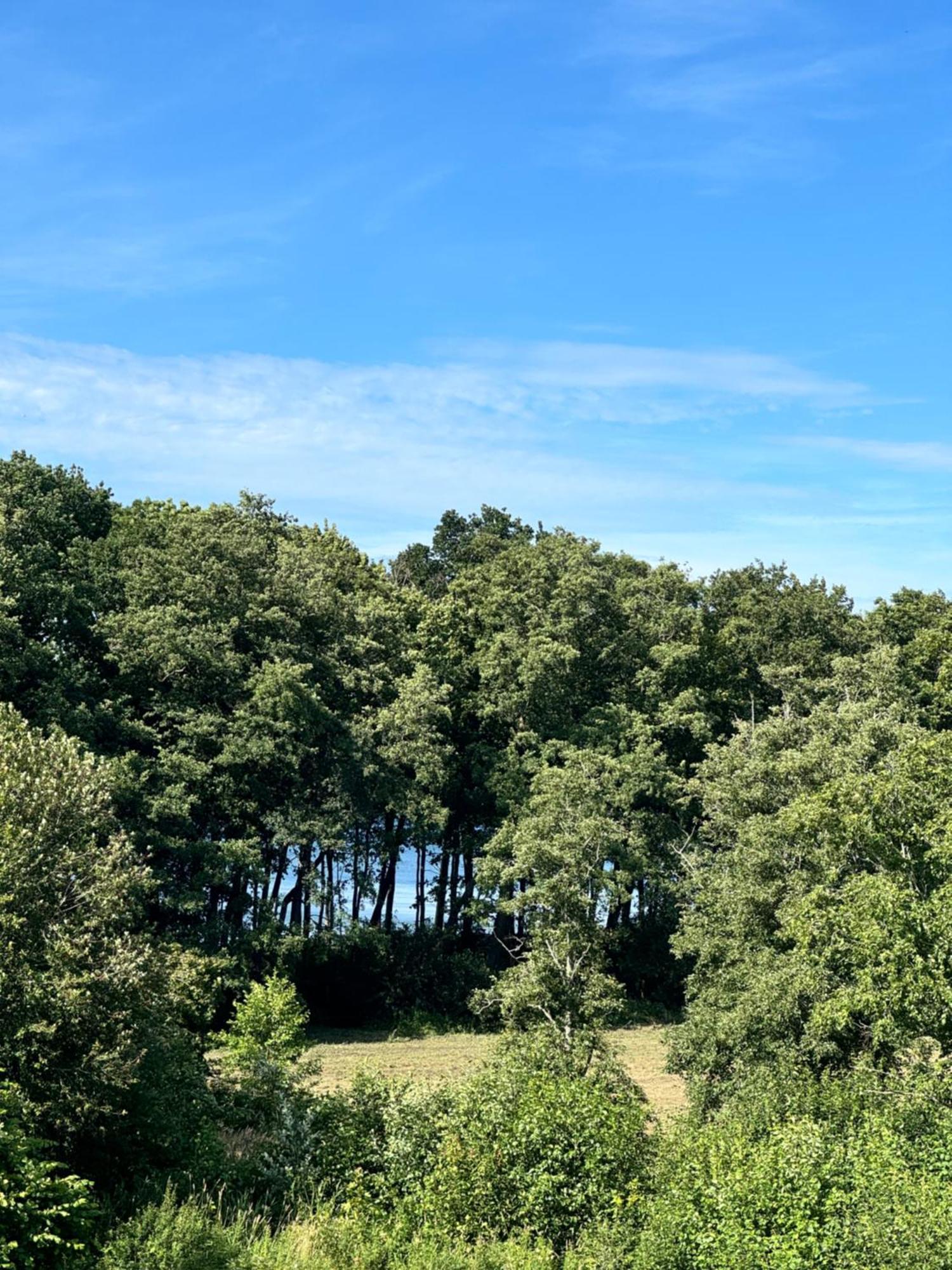 Zalotna Mewa Gaski Buitenkant foto
